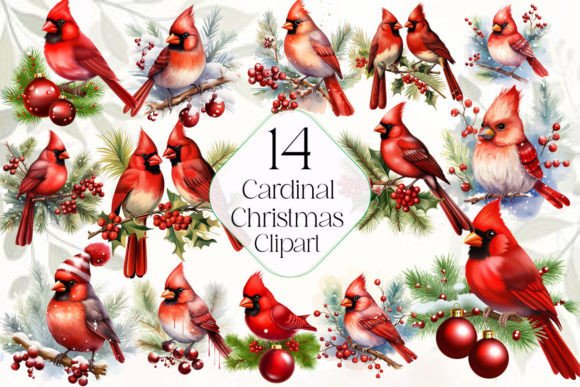 Christmas Cardinal Sublimation Clipart for Modern Illustrations