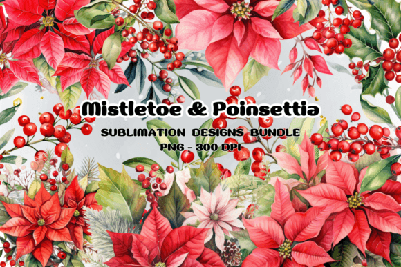 Mistletoe Poinsettia Flowers Christmas Illustrations